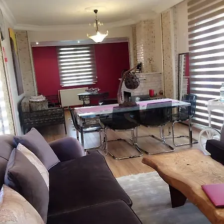With Large Garden فيلة زكرياكوي